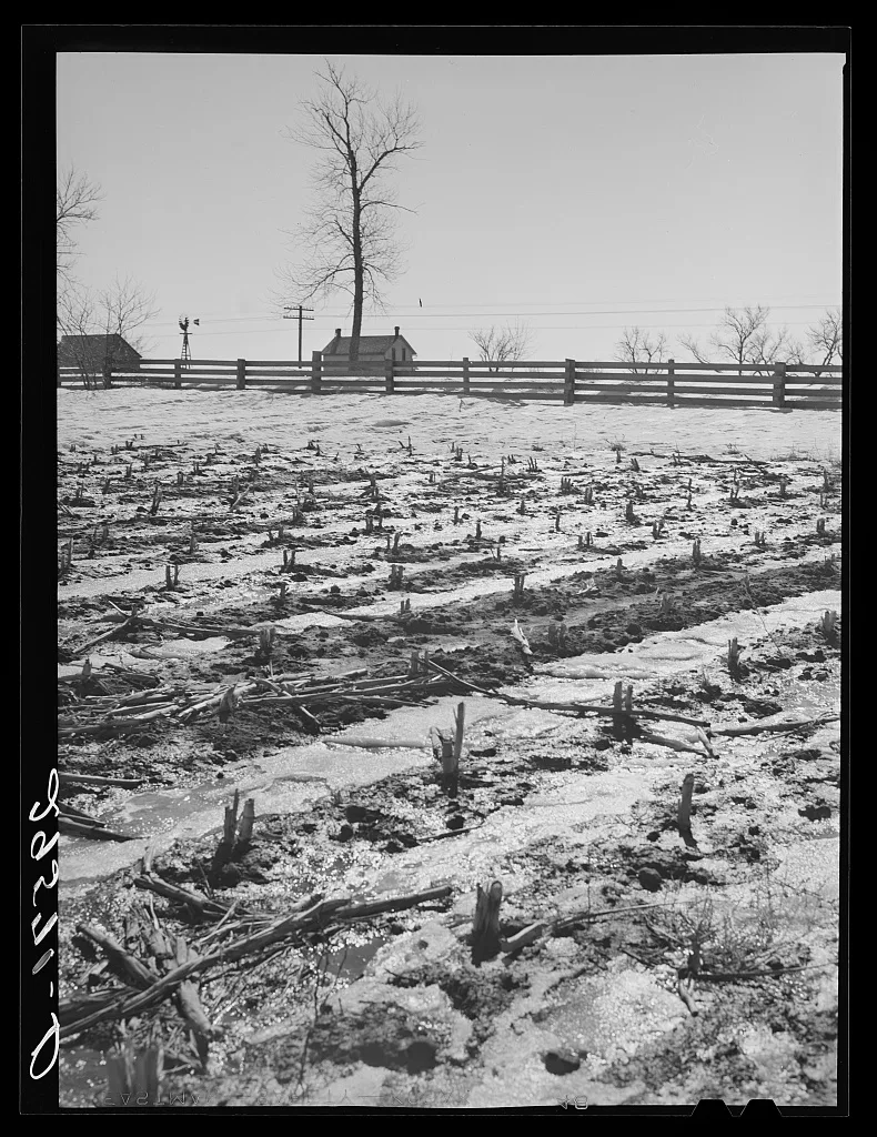 Melting snow. Hayes County, Nebraska, 1940