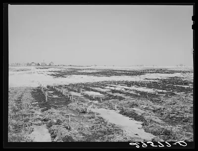 Melting snow. Hayes County, Nebraska, 1940