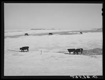 [Untitled photo, possibly related to: Farm. Hayes County, Nebraska], 1940