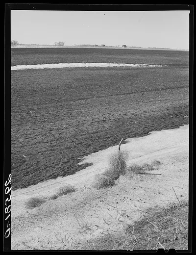 Farm. Hayes County, Nebraska, 1940