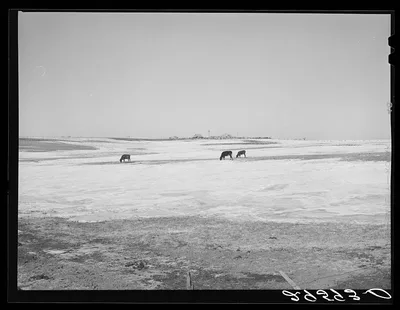 Farm. Hayes County, Nebraska, 1940