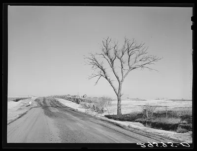 Rural road. Hayes County, Nebraska, 1940