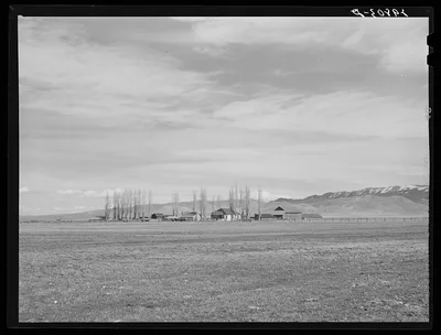 Farm near Carson City, Nevada, 1940