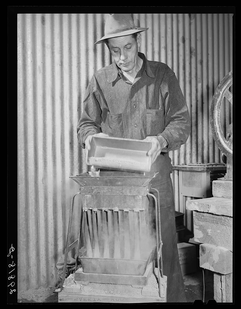 Separating gold ore samples at assay office. El Dorado Canyon, Nevada, 1940