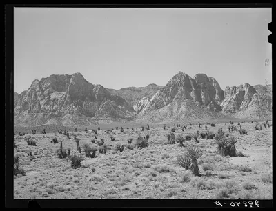 Approach to Pine Creek Canyon. Clark County, Nevada, 1940