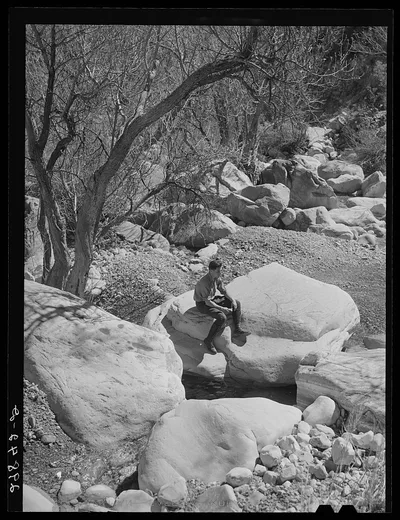 Pine Creek Canyon. Clark County, Nevada, 1940