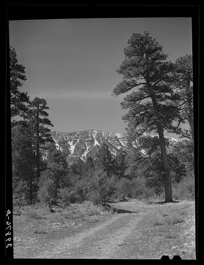 Charleston Park. Clark County, Nevada, 1940
