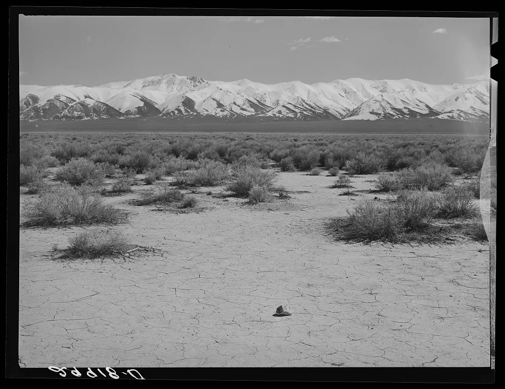 Desert. Lander County, Nevada, 1940