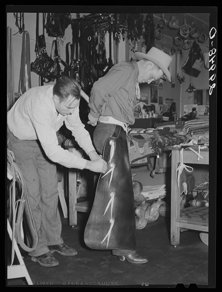 Cowhand tries on chaps. Capriola Saddlery, Elko, Nevada, 1940