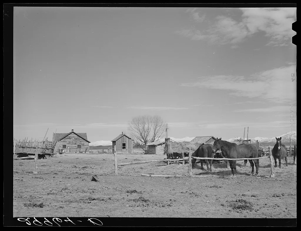 Cattle ranch. Elko County, Nevada, 1940