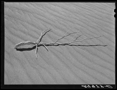 [Untitled photo, possibly related to: Sand dune. Nye County, Nevada], 1940