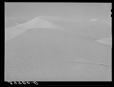 Sand dune. Nye County, Nevada, 1940