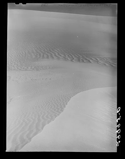 [Untitled photo, possibly related to: Sagebrush on sand dune. Nye…, Nevada, 1940